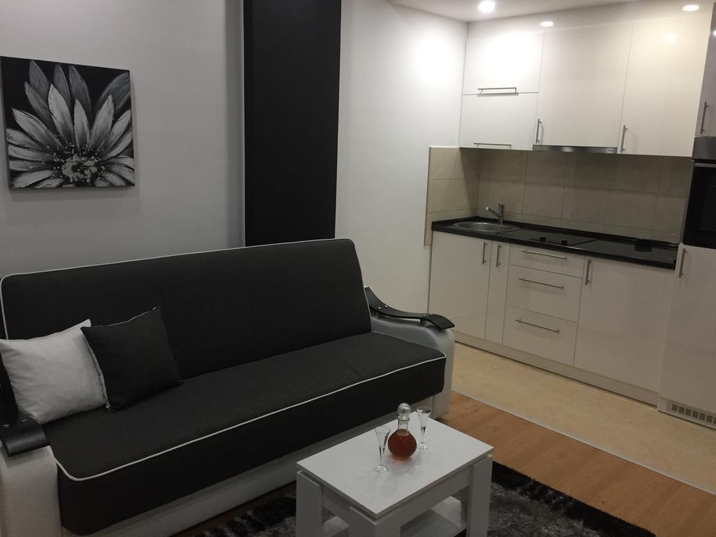 Apartman Jezdic Баня-Ковиляча Экстерьер фото